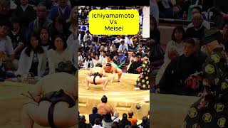 Epic Clash at Fukuoka Grand Sumo 2024 MEISEI vs ICHIYAMAMOTO shorts [upl. by Yerahcaz]