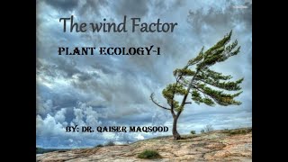 Wind as an Ecological factor and its Importance in Plant Ecology [upl. by Auehsoj]