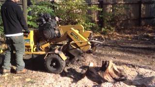 Stump grinder Vermeer sc252 [upl. by Niar958]