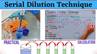 Serial Dilution Technique  For Microbiological amp Chemical Analysis  Method Example amp Calculation [upl. by Eads709]