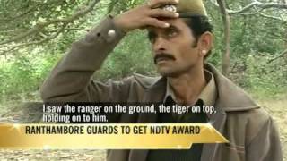 Ranthambore guards to get NDTV award [upl. by Inahc60]