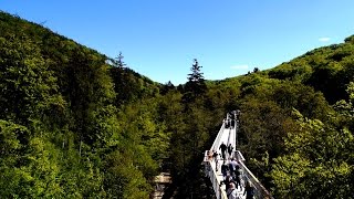 NaturNah  Nationalpark Harz  Baumwipfelpfad  Luchsgehege und Rabenklippen [upl. by Royall217]