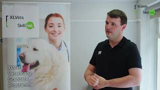 XLVets Graduate Programme Testimonial  Jonathan Collins Glenamaddy Veterinary Clinic [upl. by Erdnassac443]