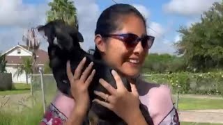 Arizona family reunited with dog who went missing in Texas [upl. by Smail]