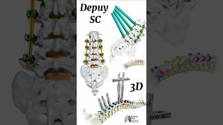 Depuy SC  medical animation 3d short  BiologywithAliya [upl. by Olocin]