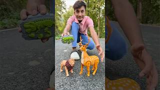 Two Remote Control Lion 🐅 and Deer unboxing 🦌 [upl. by Aneet]