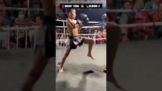 Spear elbow 🔪 ⚡ strike fitness shorts kickboxing martialarts muaythai trending viralvideo [upl. by Gilemette]