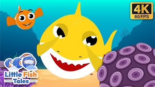 Peekaboo Baby Shark  Baby Song  Little Fish Tales  babyshark fish [upl. by Koch]