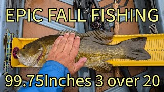 EPIC FALL FISHING 99 75 inches of River Smallmouth 3 over 20 [upl. by Anilet]