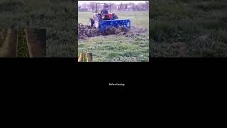 trending farming harvesting viral shorts youtubeshorts Thefarmingfrontiers [upl. by Moraj]