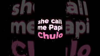 Papi Chulo 🎶 Octavian amp Skepta  lyrics music papichulo skepta lyriclymedia octavian lyricly [upl. by Aniuqal]