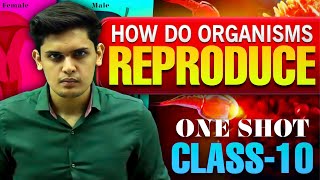 How Do Organisms Reproduce Complete Chapter🔥Class 10th Science NCERT covered Prashant Kirad [upl. by Joe]