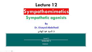 Lecture 12 Sympathetic Agonists  Dr Elsayed Abdelhad i 2023  2024 [upl. by Esinart]