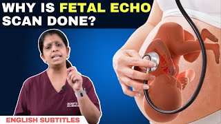 Why is fetal echo scan done  கருவிலேயே குழந்தையின் இதய குறைபாடுகளை கண்டுபிடிக்க முடியமா [upl. by Anahsirk217]