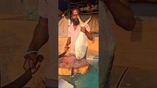 VALAI VODU FISH CUTTING MFK [upl. by Wes]