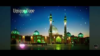 Tum Chaho to Fir uski janjeer Hila Dun nat go plus Jo Hui Tumse to Rahoge Vatan ko nat🤲❤ best naat [upl. by Yadsendew112]