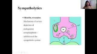 Mechanism of intracellular action [upl. by Saree188]