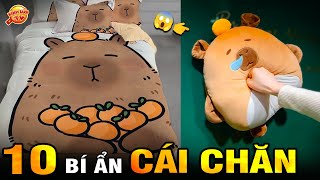 🔥 10 Bí Ẩn Ly Kỳ và Thú Vị về Cái Chăn Đắp Bao Lâu Nay Nhưng 99 Bạn Chưa Biết I Kính Lúp TV [upl. by Erina19]