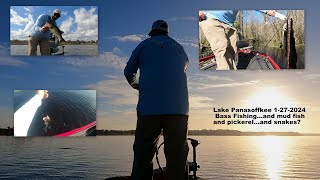 Bass Fishing Lake Panasoffkee 1272024 [upl. by Htiekal]