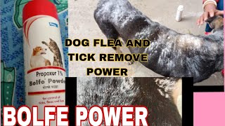 Best Tick Powder For Dog  Flea And Tick Remove For 2 Minutes In Dogs Body [upl. by Llerahc]