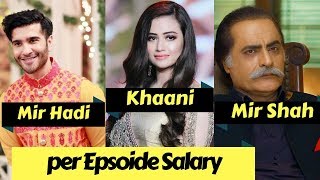 khaani Drama Actors per Episode Salary  Khaani Drama Cast  Khaani  Feroz Khan  Sana Javed [upl. by Anecuza]