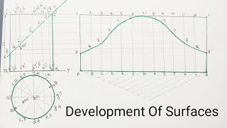 Development of cone [upl. by Gylys]