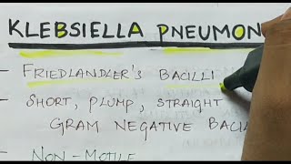 Klebsiella pneumoniae  Microbiology  Handwritten notes [upl. by Atnod]