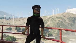 GTA 5 Franklin Kills Chop in the final mission reverse [upl. by Joachim]