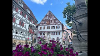 Esslingen am Neckar Germany Part  1 [upl. by Odeen]