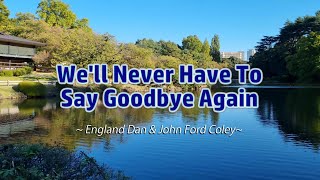 WELL NEVER HAVE TO SAY GOODBYE AGAIN  Karaoke Version  by England Dan amp John Ford Coley [upl. by Fang]