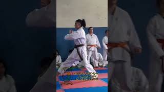 Exame de graduação na Academia Fox de Karate Alborcan karatedo Alborcan [upl. by Iolanthe978]