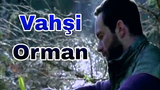 Vahşi Orman  Türkce Dublyaj Film HD KORKULU FİLM [upl. by Orlando]