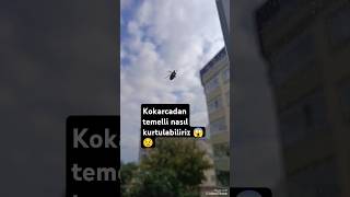 Kokarcadan temelli nasıl kurtulabiliriz 😟😱😟 kokarca bocek böcekilaçlama kokarcatemizlik keşfet [upl. by Nihs635]