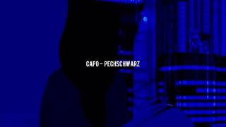 CAPO  PECHSCHWARZ slowed [upl. by Haelahk]