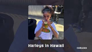 Harleys in Hawaii  TikTok remix [upl. by Natsirhc603]