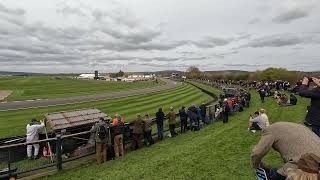 CANAM cars doing a demonstration at Goodwood Members 81Meeting 2024 [upl. by Ynohta]