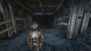 RDR2  90 Players Will Miss This Mine [upl. by Simonsen418]