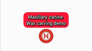 Maxillary canine carving demo Dr NithinK [upl. by Ingraham]