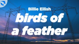 Billie Eilish  BIRDS OF A FEATHER Clean  Lyrics [upl. by Cathee]