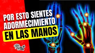 ENTUMECIMIENTO EN LAS MANOS 5 Causas de Hormigueo y Dolor en las Manos [upl. by Rehpatsirhc]