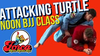 Noon BJJ  Attacking the TurtleBack Control Lapel Chokes [upl. by Nema]