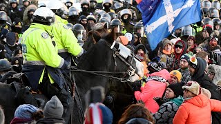 CTV News Ottawa  Police arrest quotFreedom Convoyquot organizers move on remaining demonstrators [upl. by Lavella59]