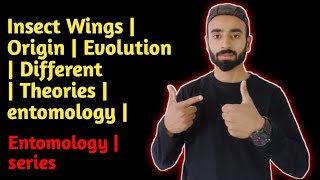 Insect Wings  Origin  Evolution  Different  Theories  entomology  zoology  Zoologist [upl. by Oilcareh]