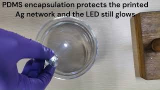 Flexible transparent encapsulants for printed electronics [upl. by Atinaw]