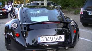 Wiesmann GT MF5 SOUND [upl. by Lupita]