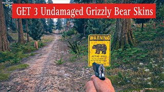 Get 3 Undamaged Grizzly Bear Skins  FAR CRY 5 Gameplay Mission [upl. by Marfe]