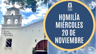 Homilía Miércoles de 20 Noviembre 2024 Parroquia Santa María de los Ángeles [upl. by Aerdied]