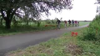 sfiDARE CRIT Image Video Fixed gear CRIT [upl. by Kyte]