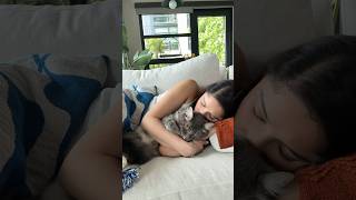 Cuddly life with the cuddliest cat in the 🌎 viral [upl. by Maxy25]