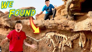 We found dinosaur fossils in our backyard [upl. by September]